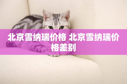 北京雪納瑞價格 北京雪納瑞價格差別