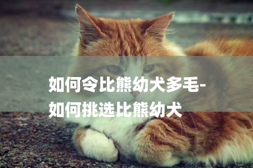 如何令比熊幼犬多毛-
如何挑選比熊幼犬