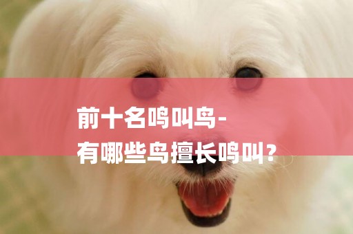 前十名鳴叫鳥-
有哪些鳥擅長鳴叫？