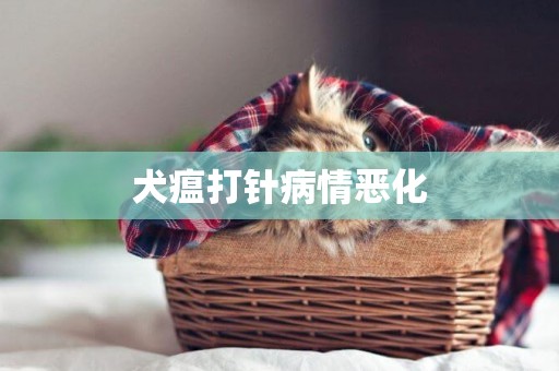 犬瘟打針病情惡化