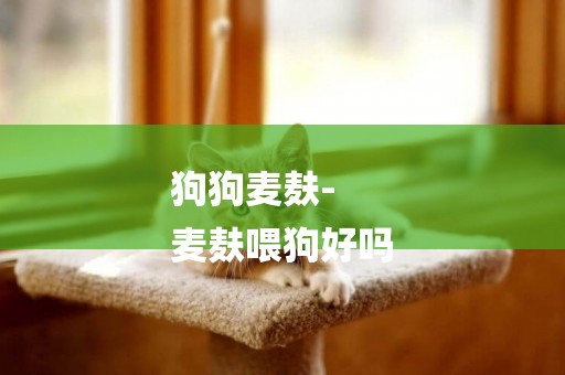 狗狗麥麩-
麥麩喂狗好嗎