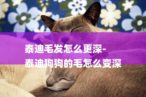 泰迪毛發怎么更深-
泰迪狗狗的毛怎么變深