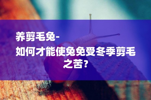 養剪毛兔-
如何才能使兔免受冬季剪毛之苦？