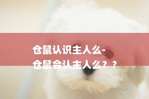倉鼠認識主人么-
倉鼠會認主人么？？