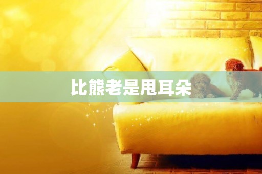 比熊老是甩耳朵