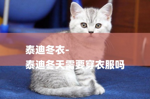 泰迪冬衣-
泰迪冬天需要穿衣服嗎