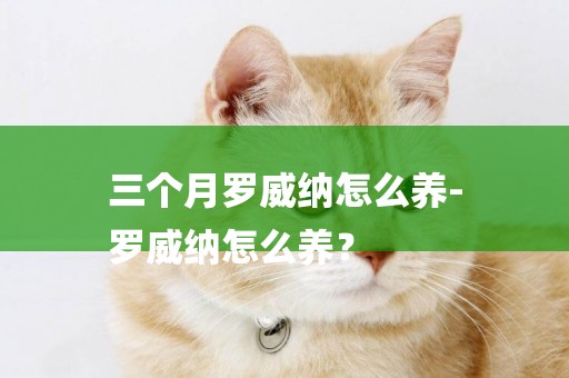 三個月羅威納怎么養-
羅威納怎么養？