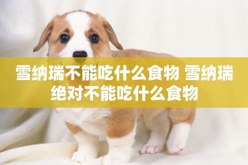 雪納瑞不能吃什么食物 雪納瑞絕對不能吃什么食物
