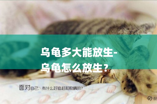 烏龜多大能放生-
烏龜怎么放生？