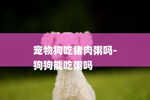 寵物狗吃豬肉粥嗎-
狗狗能吃粥嗎