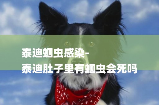 泰迪蛔蟲感染-
泰迪肚子里有蛔蟲會死嗎