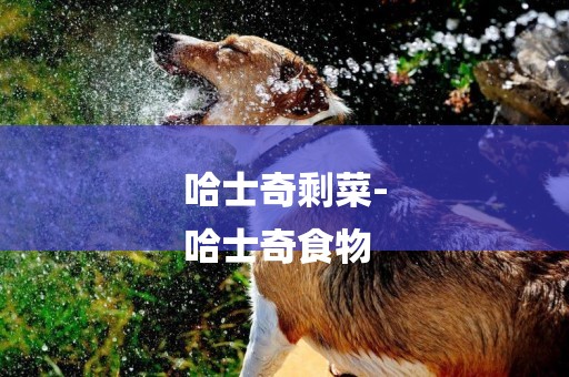 哈士奇剩菜-
哈士奇食物