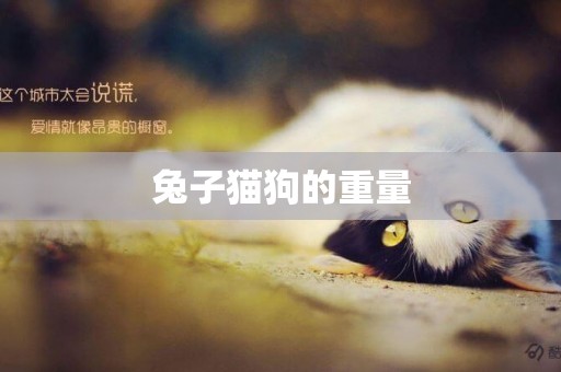 兔子貓狗的重量