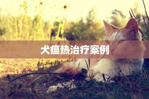 犬瘟熱治療案例