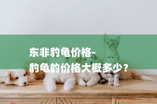東非豹龜價格-
豹龜的價格大概多少？