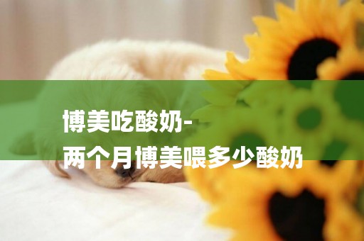 博美吃酸奶-
兩個月博美喂多少酸奶