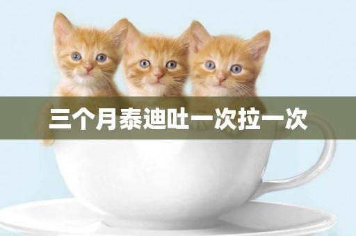 三個月泰迪吐一次拉一次