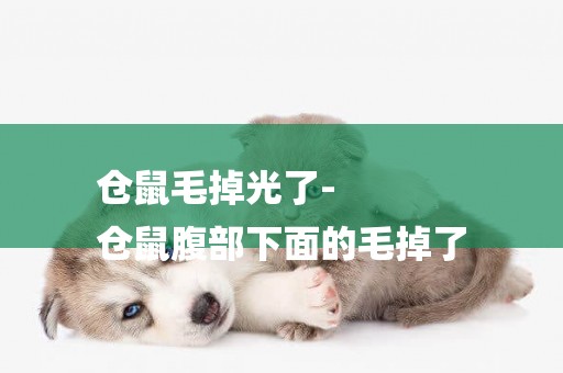 倉鼠毛掉光了-
倉鼠腹部下面的毛掉了
