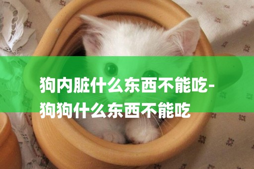 狗內臟什么東西不能吃-
狗狗什么東西不能吃
