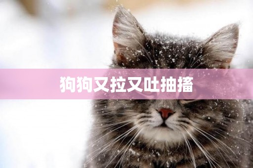 狗狗又拉又吐抽搐