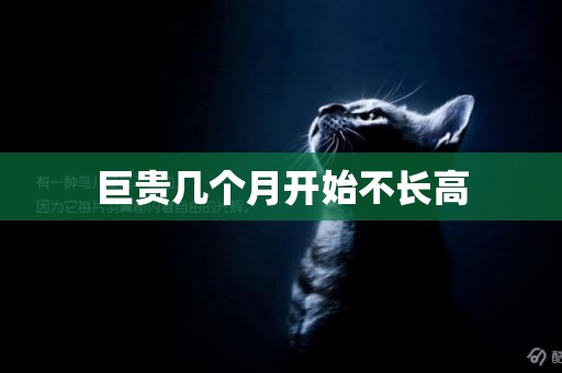 巨貴幾個月開始不長高