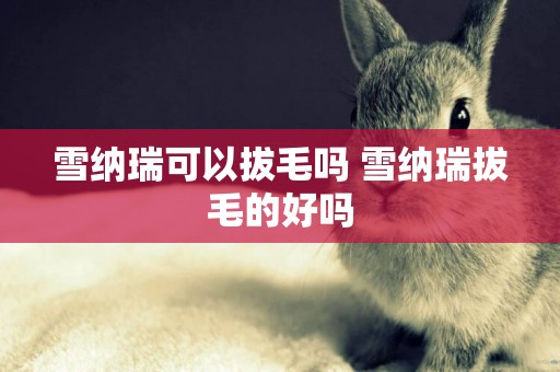 雪納瑞可以拔毛嗎 雪納瑞拔毛的好嗎