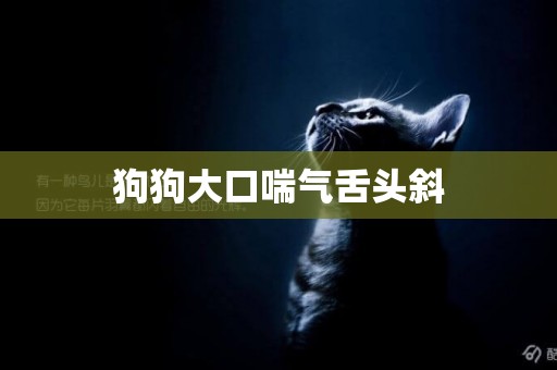 狗狗大口喘氣舌頭斜