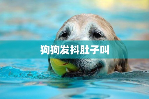 狗狗發抖肚子叫
