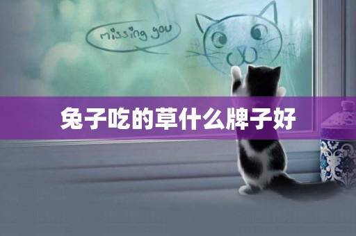 兔子吃的草什么牌子好