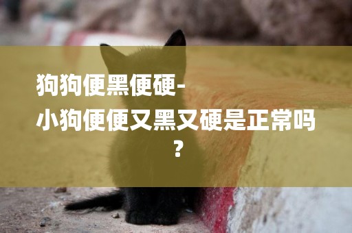 狗狗便黑便硬-
小狗便便又黑又硬是正常嗎？