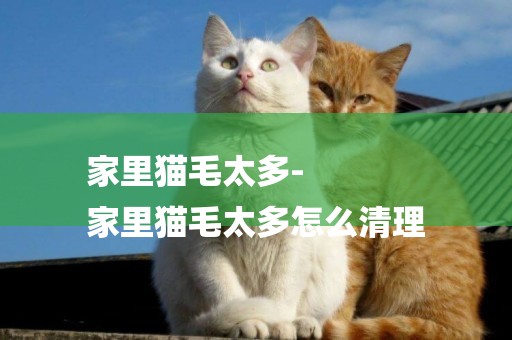 家里貓毛太多-
家里貓毛太多怎么清理