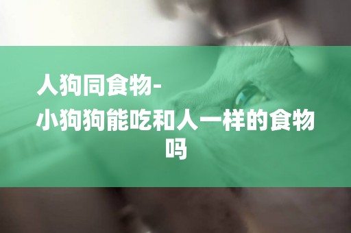 人狗同食物-
小狗狗能吃和人一樣的食物嗎