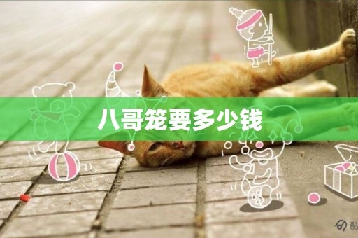 八哥籠要多少錢