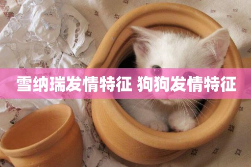 雪納瑞發情特征 狗狗發情特征