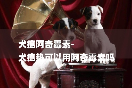 犬瘟阿奇霉素-
犬瘟熱可以用阿奇霉素嗎
