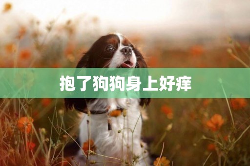 抱了狗狗身上好癢