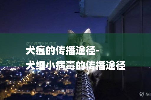 犬瘟的傳播途徑-
犬細小病毒的傳播途徑