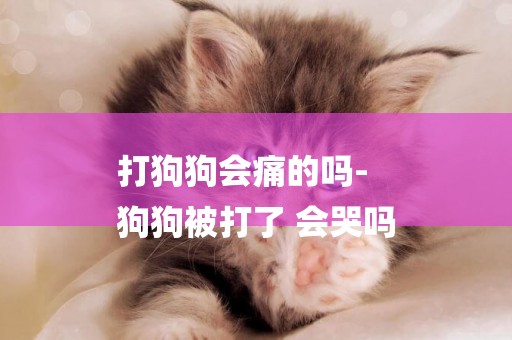 打狗狗會痛的嗎-
狗狗被打了 會哭嗎