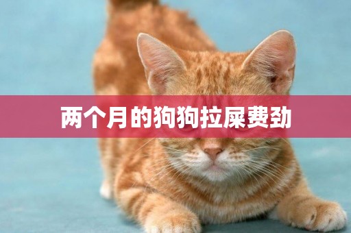 兩個月的狗狗拉屎費勁