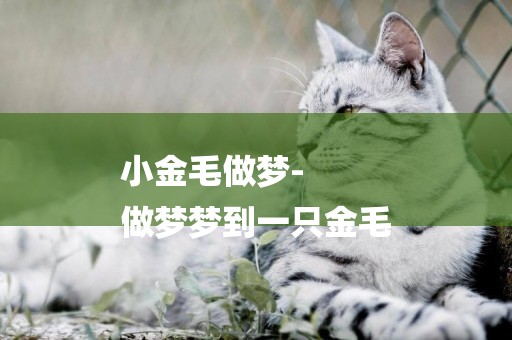 小金毛做夢-
做夢夢到一只金毛