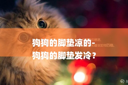 狗狗的腳墊涼的-
狗狗的腳墊發冷？