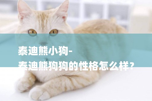 泰迪熊小狗-
泰迪熊狗狗的性格怎么樣？