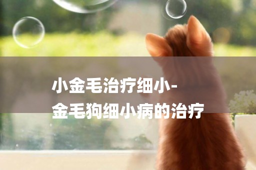 小金毛治療細小-
金毛狗細小病的治療