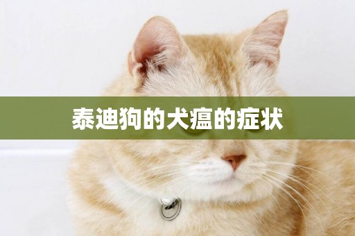 泰迪狗的犬瘟的癥狀