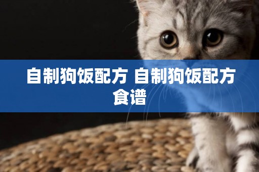 自制狗飯配方 自制狗飯配方食譜
