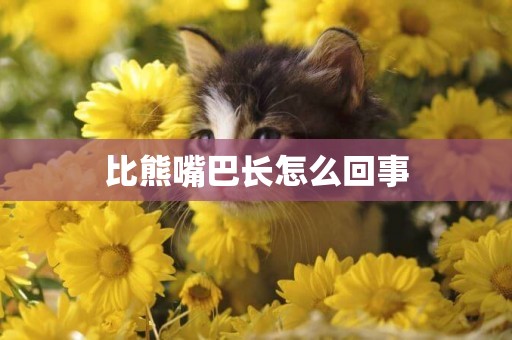 比熊嘴巴長怎么回事