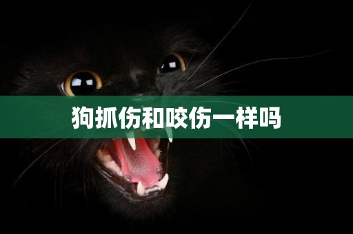 狗抓傷和咬傷一樣嗎