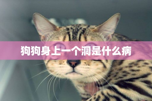 狗狗身上一個洞是什么病