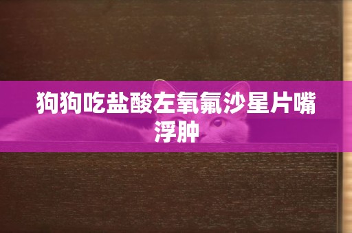 狗狗吃鹽酸左氧氟沙星片嘴浮腫