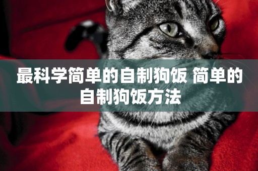 最科學簡單的自制狗飯 簡單的自制狗飯方法